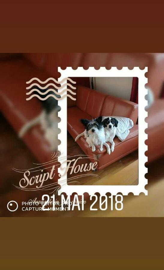 Bed and Breakfast Au Gre Des Sentiers Chez Marie Et Pierre Saint-Die-des-Vosges Екстер'єр фото